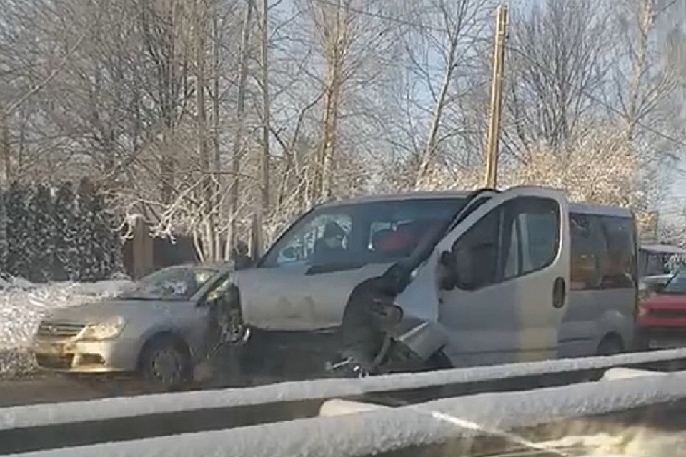 Автобус и две машины столкнулись на Выборгском шоссе, пропуская через дорогу собаку