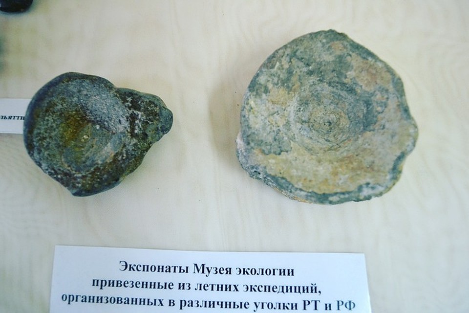 Фото: пресс-служба историко-краеведческого музея Набережных Челнов