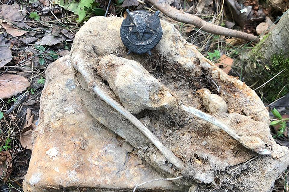 Рядом с останками красноармейца обнаружили награду. Фото: Брянский исполком "Единой России".