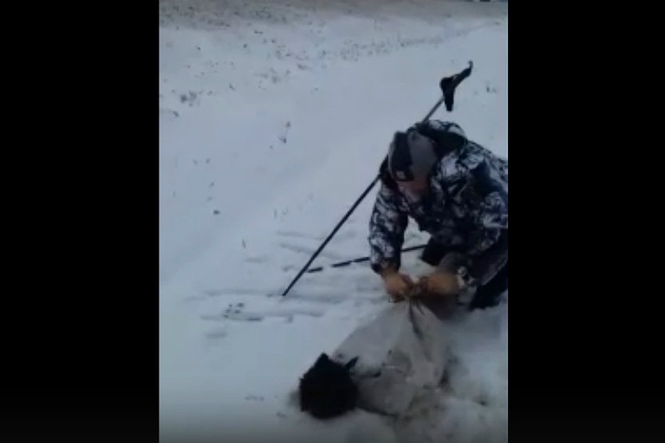 Фото: скриншот с видео (vk.com/inci55)