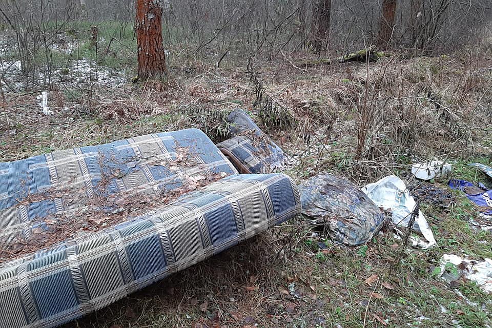 Фото: Лариса Николаева/facebook.com