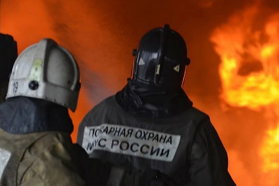 Двое нижегородских пожарных стащили пять аккумуляторов в местном совхозе.