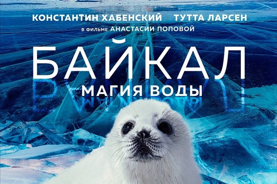 Константин Хабенский и Тутта Ларсен озвучили фильм «Байкал. Магия воды». Фото: группа "Москвариума" в соцсетях