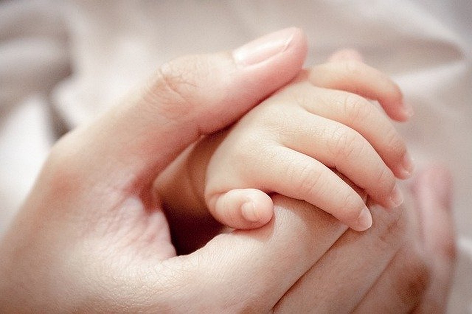 Фото: pixabay.com.