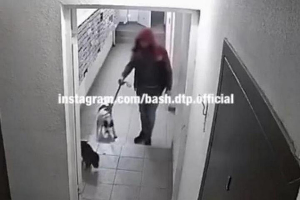 фото: соцсети