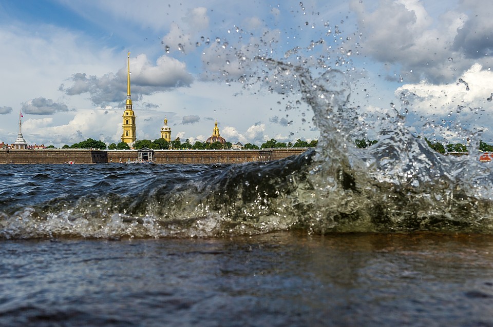Водоканал Петербурга выпустил в Неву более трех с половиной тысяч молодых лососей