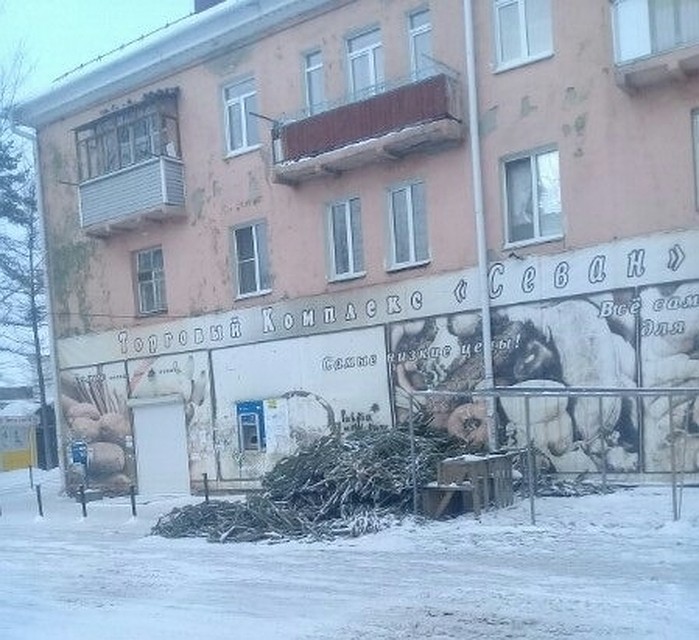 Елки повсюду.