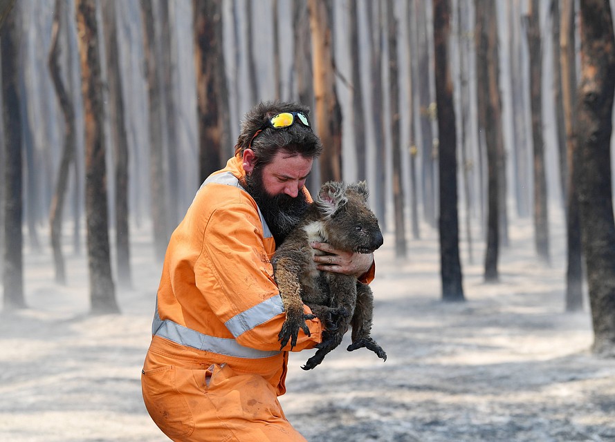 Фото: Reuters