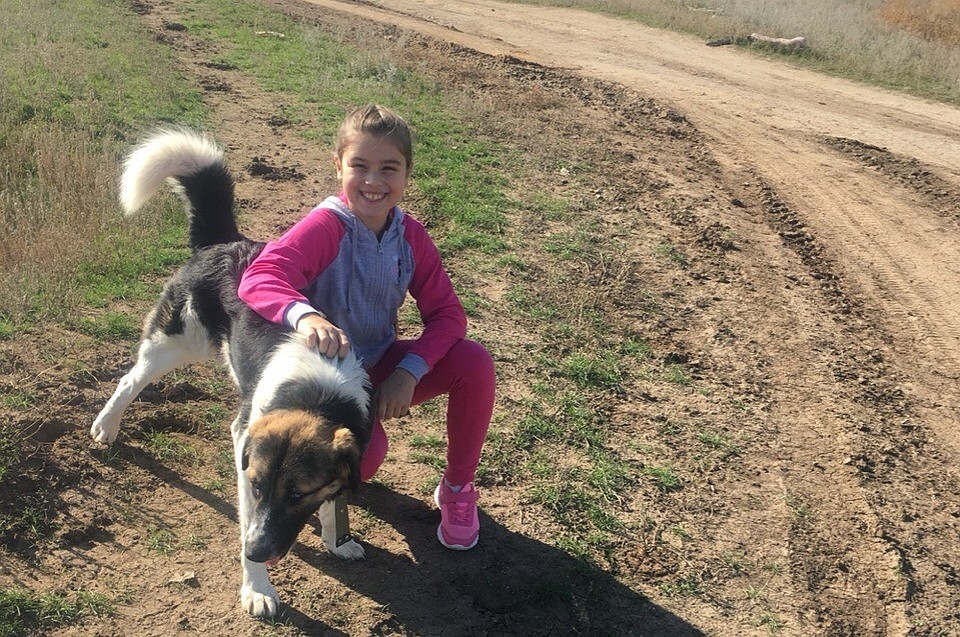 Василиса круглый год приезжает в приют, чтобы погулять с собачками. Фото6 личная страница ВК Екатерины Ермиловой.