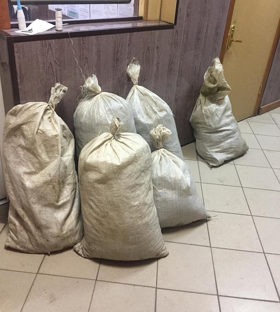 фото: УМВД по Томской области