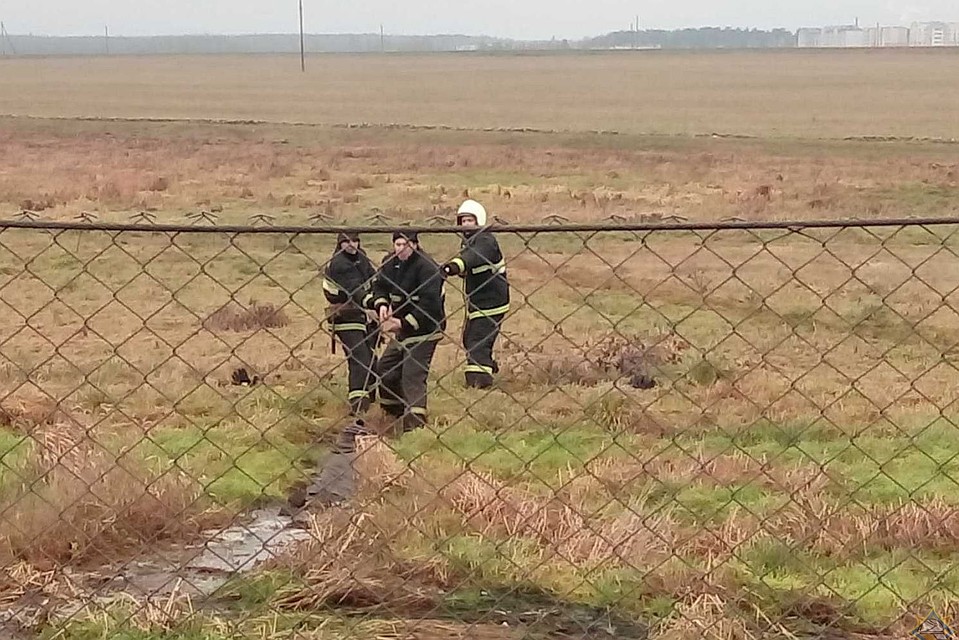 Спасатели приехали вовремя. Они вытащили из болота и мужчину, и теленка. Фото: grodno.mchs.gov.by