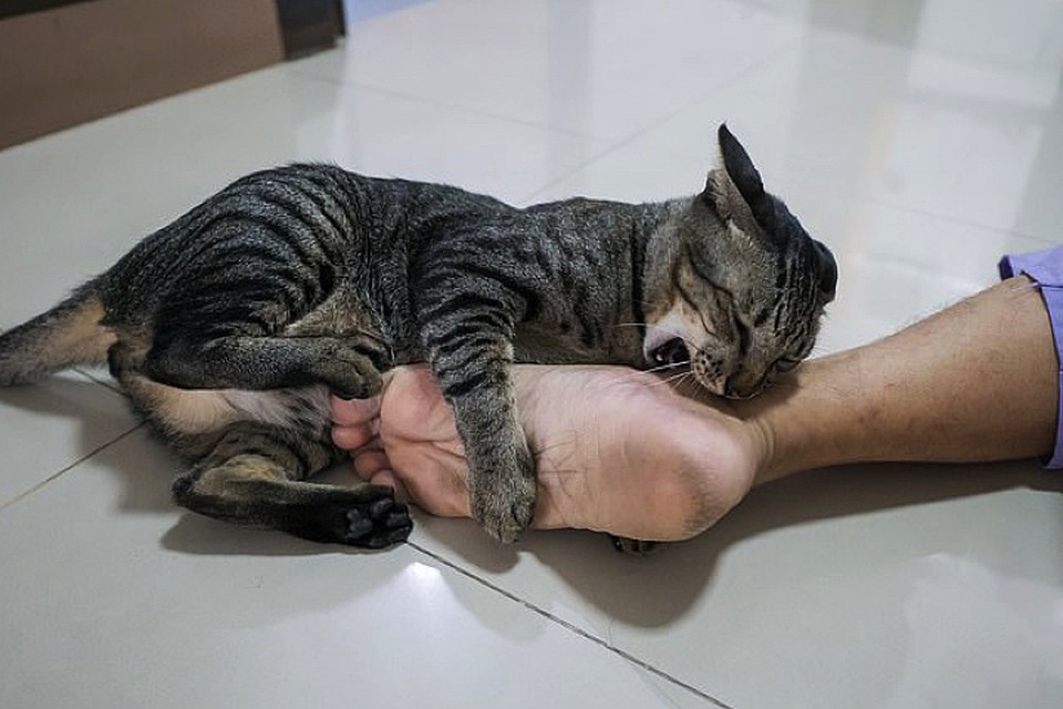 Кошмар, да и только. Хотя умершему уже все равно.