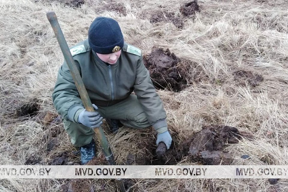 Саперы 4 дня извлекали из земли мины, снаряды, гранаты на 200-метровом участке по обе стороны железной дороги. Фото: МВД.