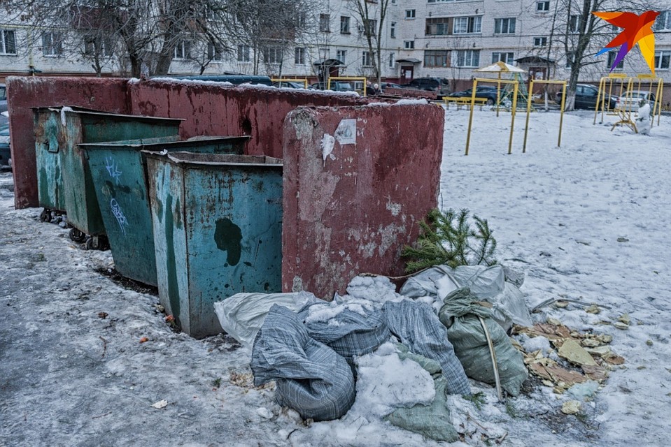 Орловцам предлагают отдать праздничные елки на корм лошадям