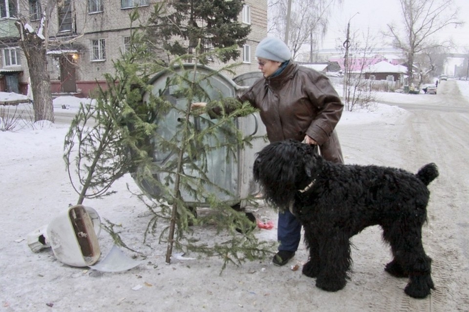 Если выбросить елку на помойку, то получится двойной удар по природе