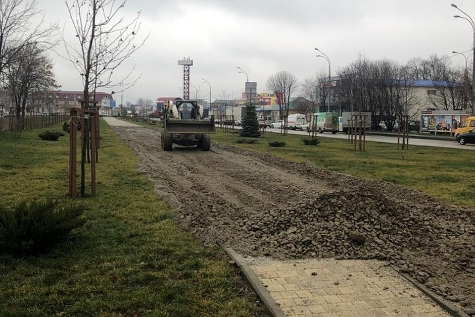 Фото: администрация Краснодара