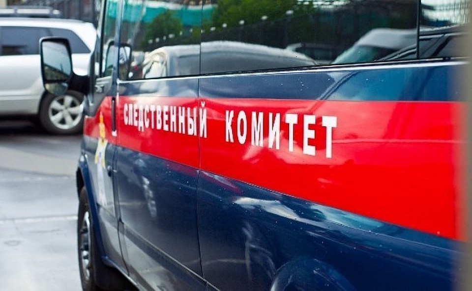 Публикацию в сети Интернет проверят в региональном Следственном комитете.