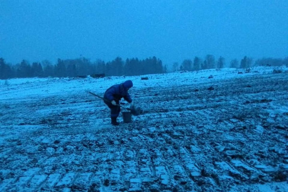 Были взяты пробы грунта для определения химического состава. ФОТО: правительство Ярославской области
