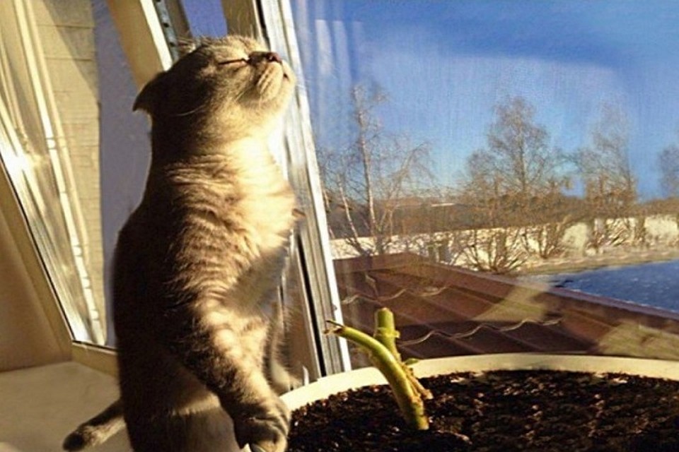 Все равно скоро весна.