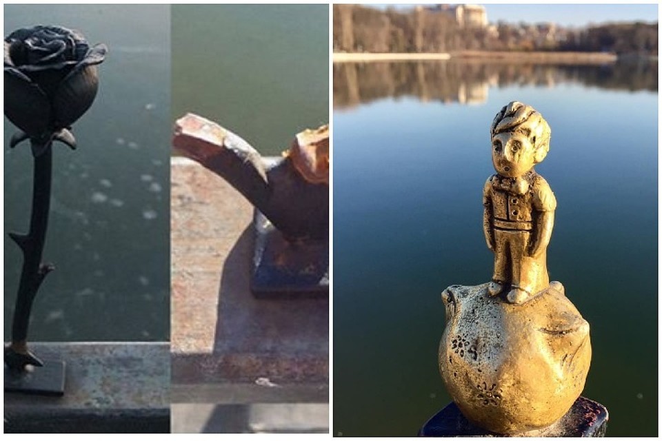 Вандалы спилили розу в парке "Валя Морилор". Фото: Наталья Давидович
