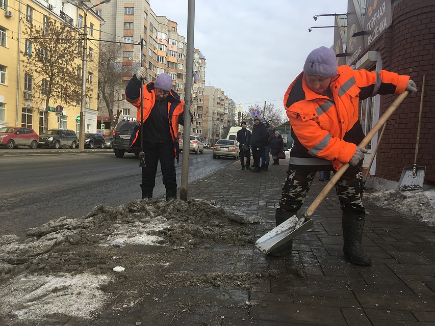 Сейчас на участках выполняют актуальные работы