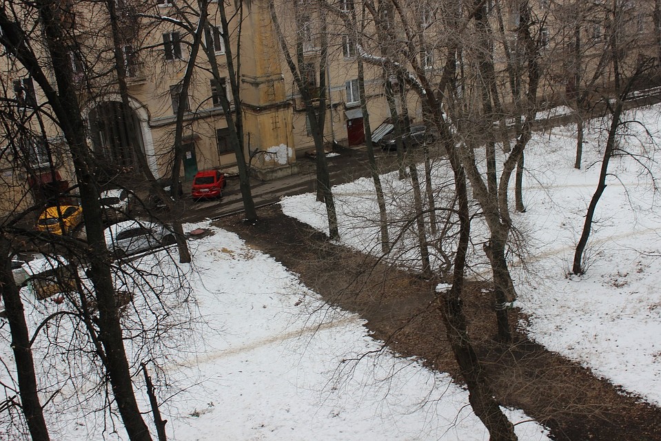 Фото читателя