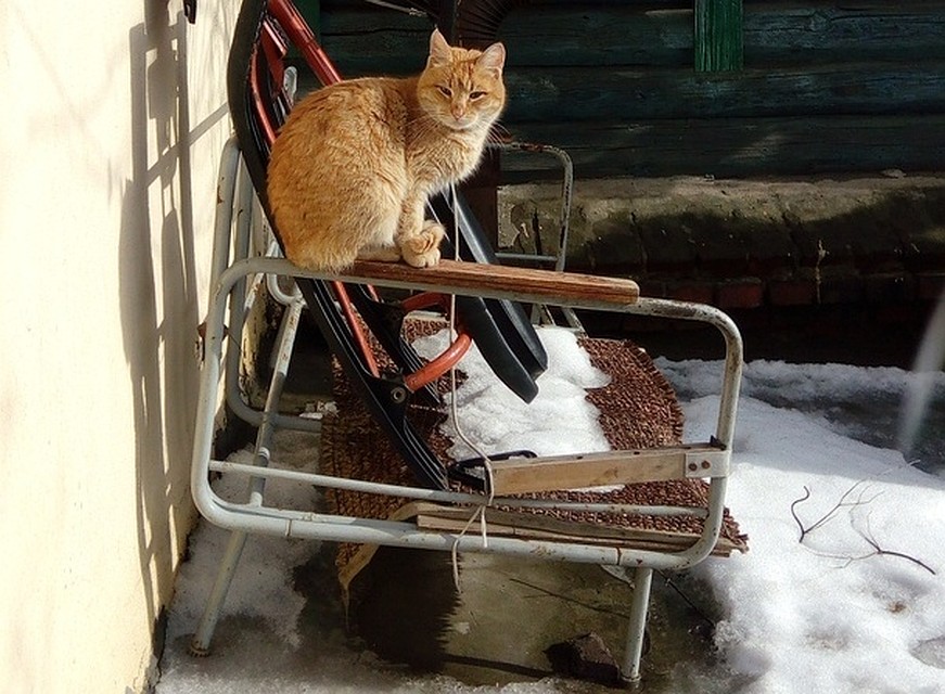 Солнце добавит ощущения настоящей весны