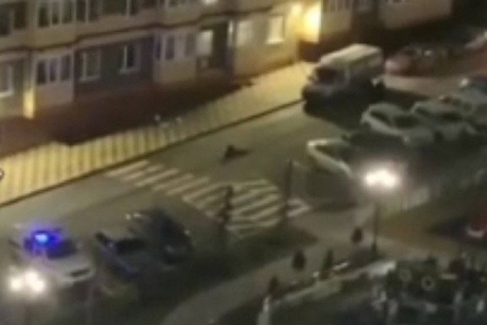 В Ростове мужчина разбился, выпав с 15-го этажа. Фото: соц сети.