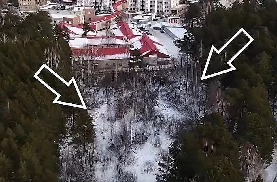 Для строительства нового корпуса часть леса вывели из границ бора. Фото: Дмитрий Руденок