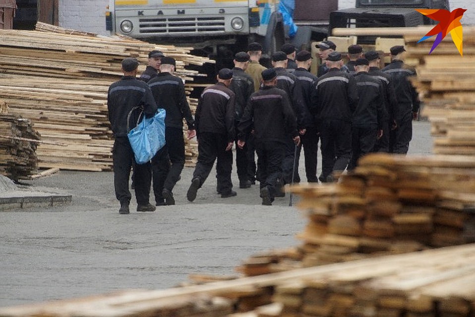 Проверка показала, что в колонии нарушают нормы трудового права, не везде обеспечивают противопожарную безопасность медико-санитарное и материально-бытовое обеспечение.