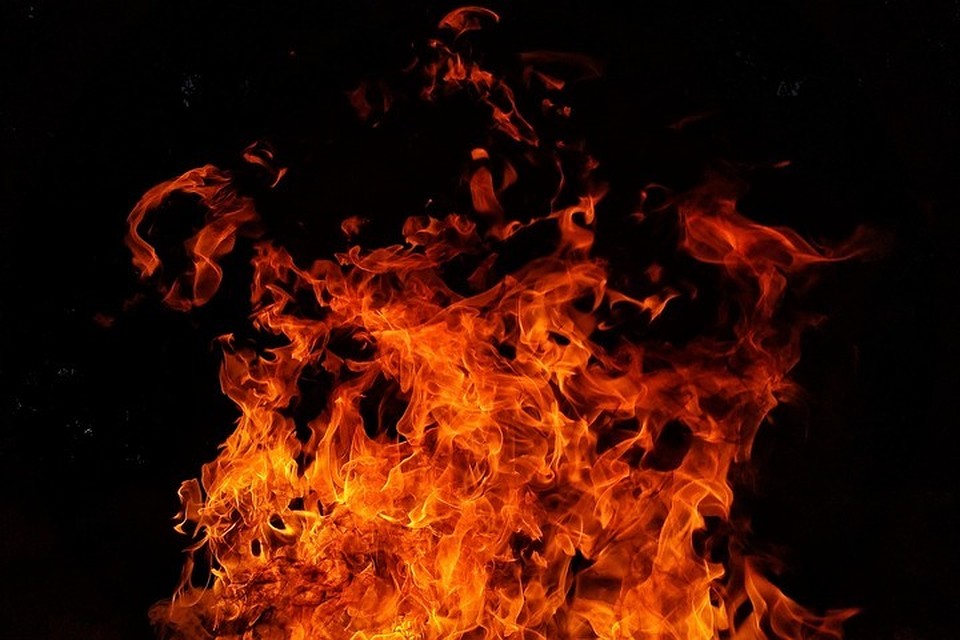 Фото: pixabay.com