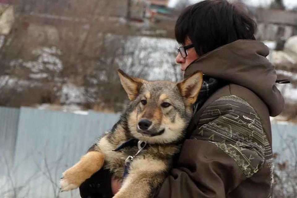 Нижегородка ради животных взяла ипотеку.