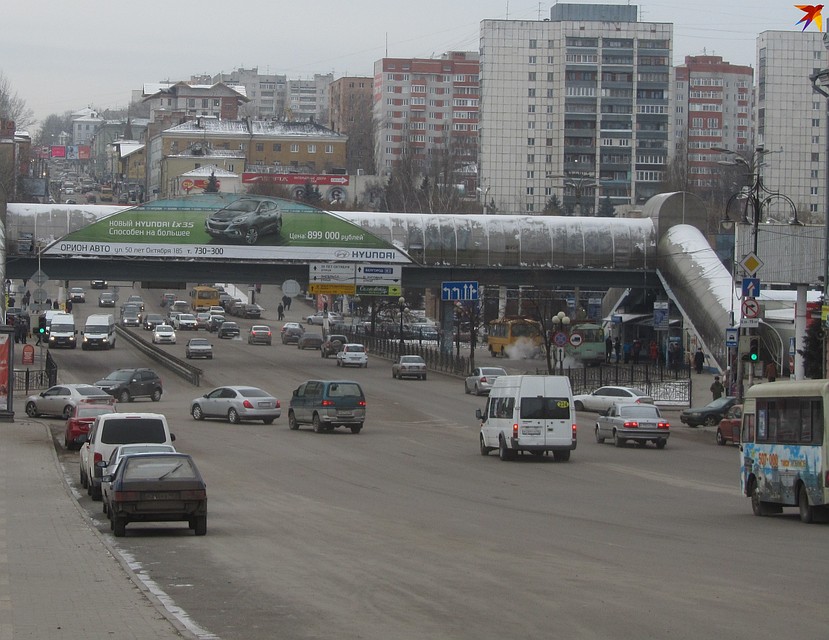На курян завели дело