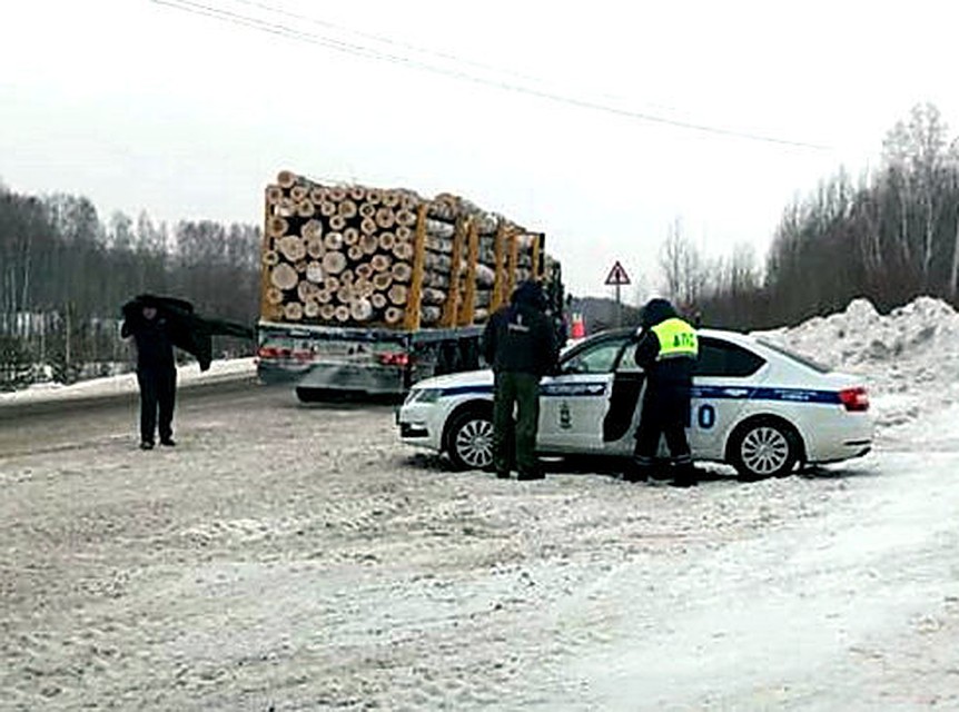 Перевозка древесины - под особым контролем