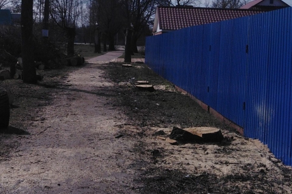 Фото: пресс-служба брянского отделения ОНФ.