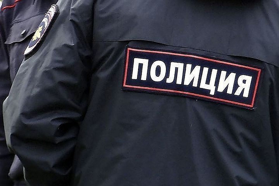 Полицейские задержали подозреваемого в краже Фото: архив "КП"