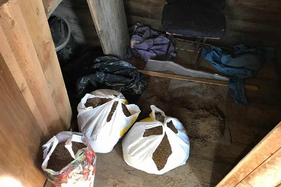 Наркотики нашли у двух жителей из разных сел. Фото: ГУ МВД по НСО.
