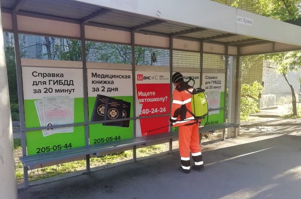 Фото: администрация Краснодара