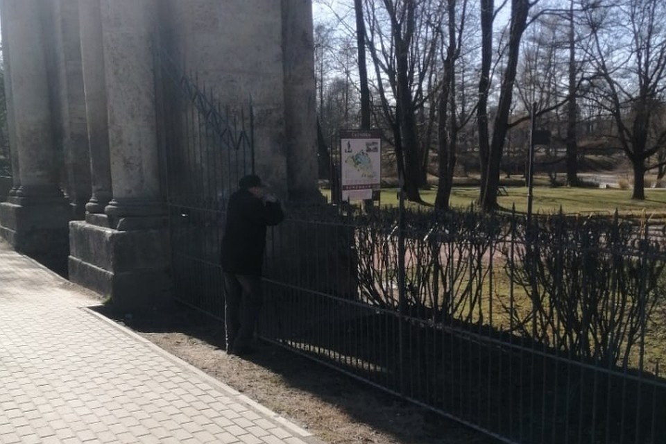 В Гатчине заметили тоскующего пенсионера, который хотел попасть в закрытый парк. Фото: vk.com/gtnstory