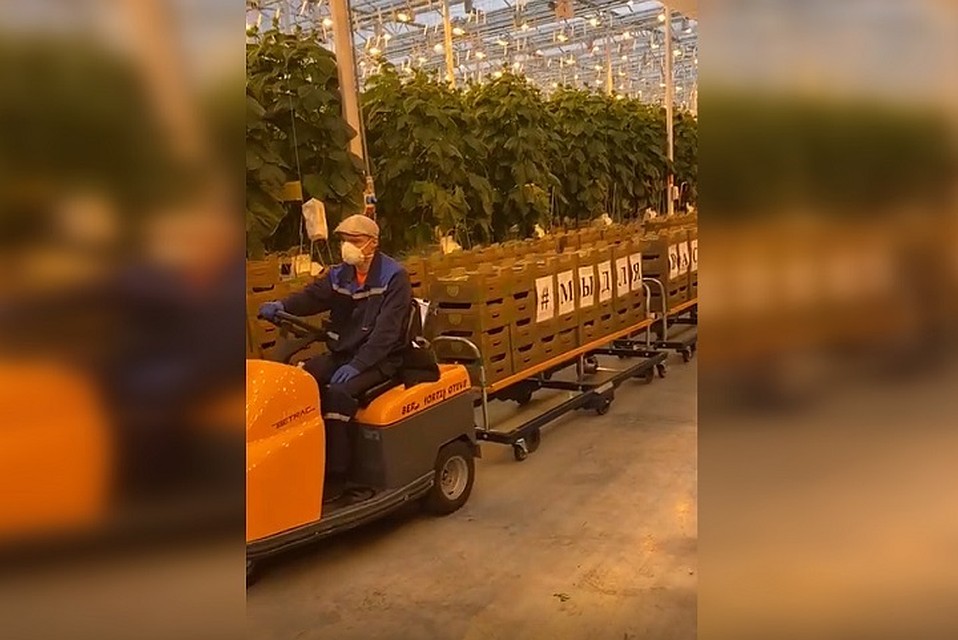 Фото: скриншот с видео