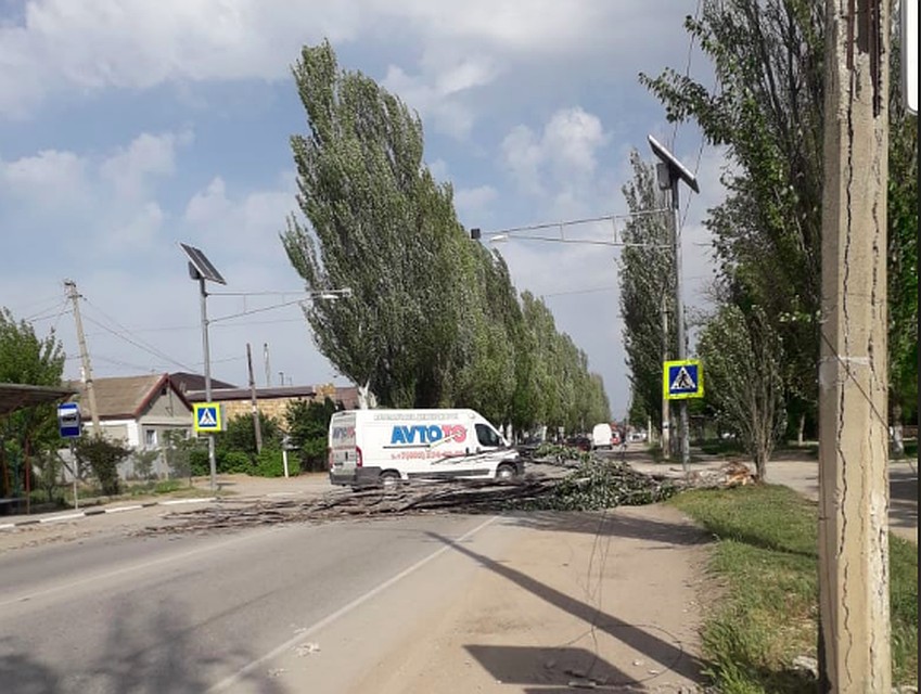 По Крыму прошел порывистый ветер до 25 метров в секунду. Фото: Крымавтодор.