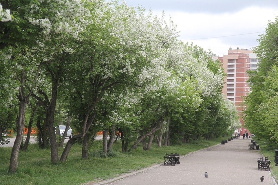 Скейт-парк построят у храма в Ново-Ленино в Иркутске