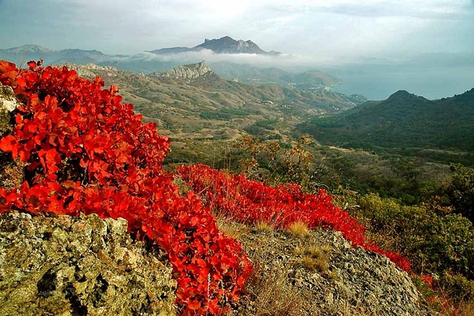 Красоты Крыма станут платными. Фото: архив «КП»-Севастополь»