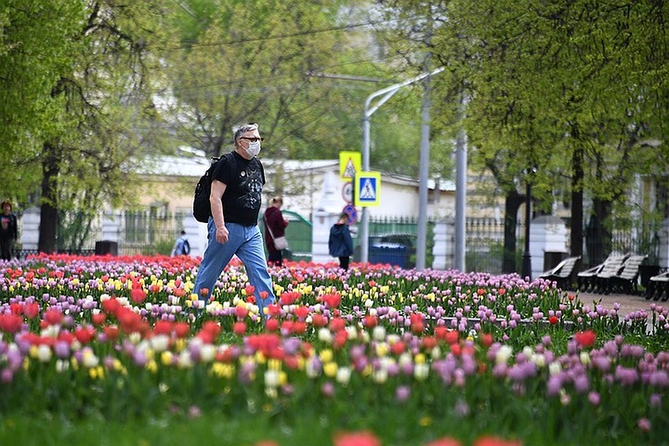 На следующем этапе снятия ограничений в Москве планируют открыть непродовольственные магазины, а потом возобновить работу предприятий сферы бытовых услуг