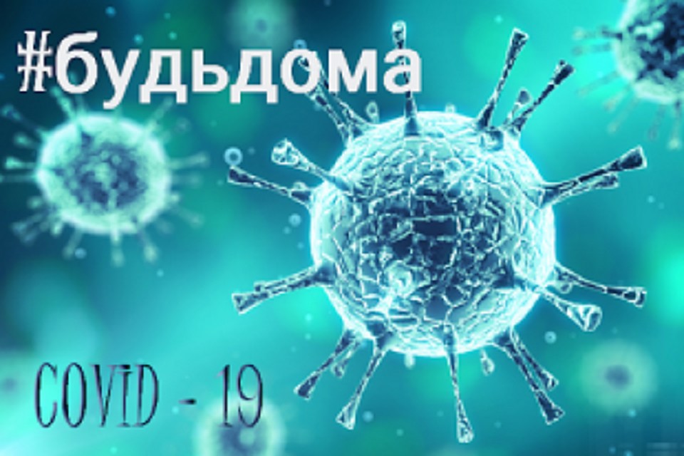 В Тарко-Сале выявили два семейных очага COVID-19 Фото: pixabay.com