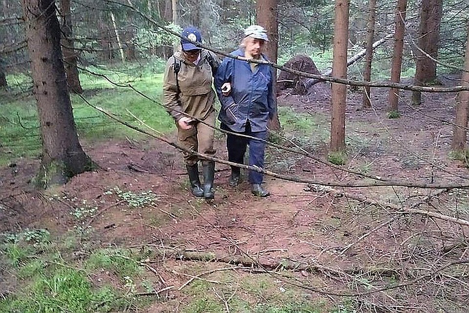 Можно ли будет в лесах Твери гулять и собирать грибы и ягоды, пояснил губернатор.