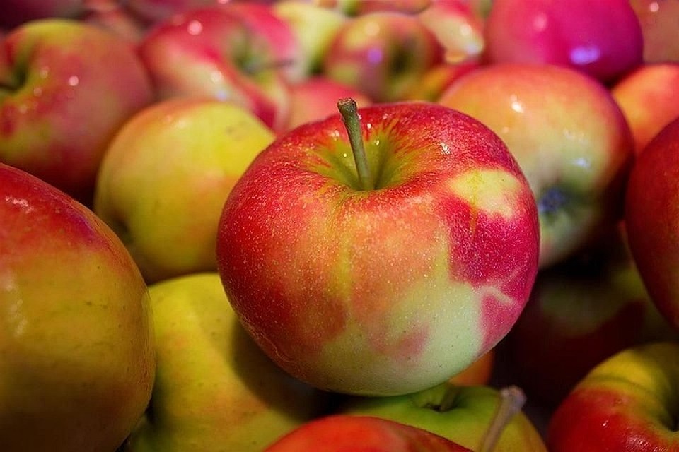 Фото: pixabay.com