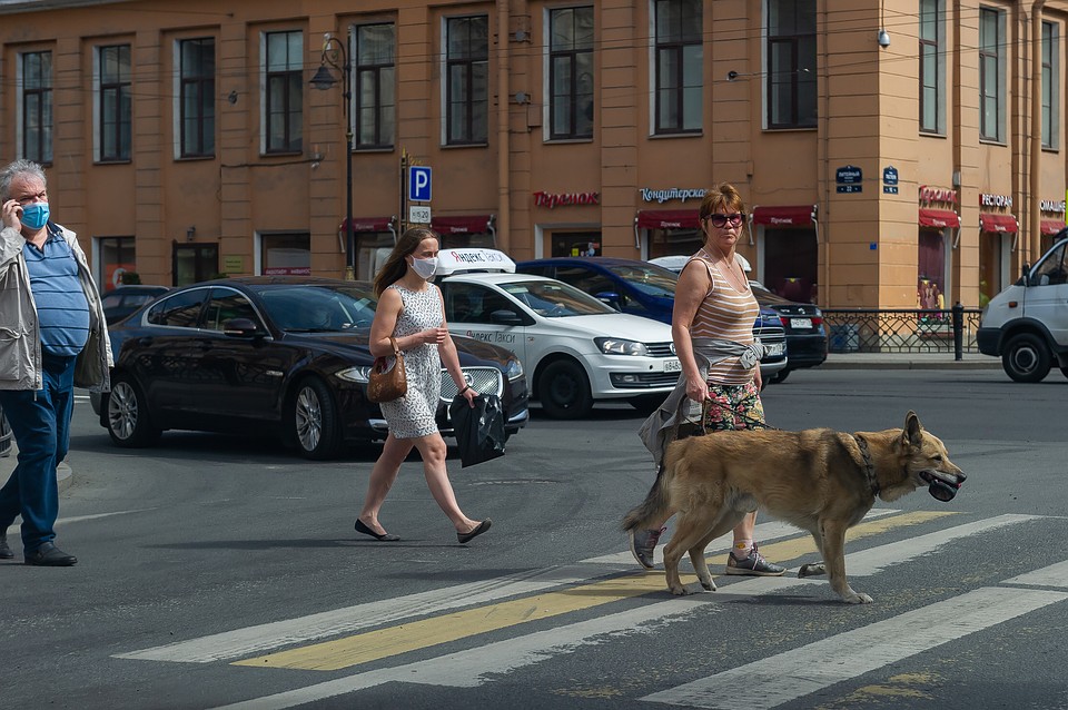 Петербуржцам не стоит бояться комаров. Как и вышек сотовой связи.