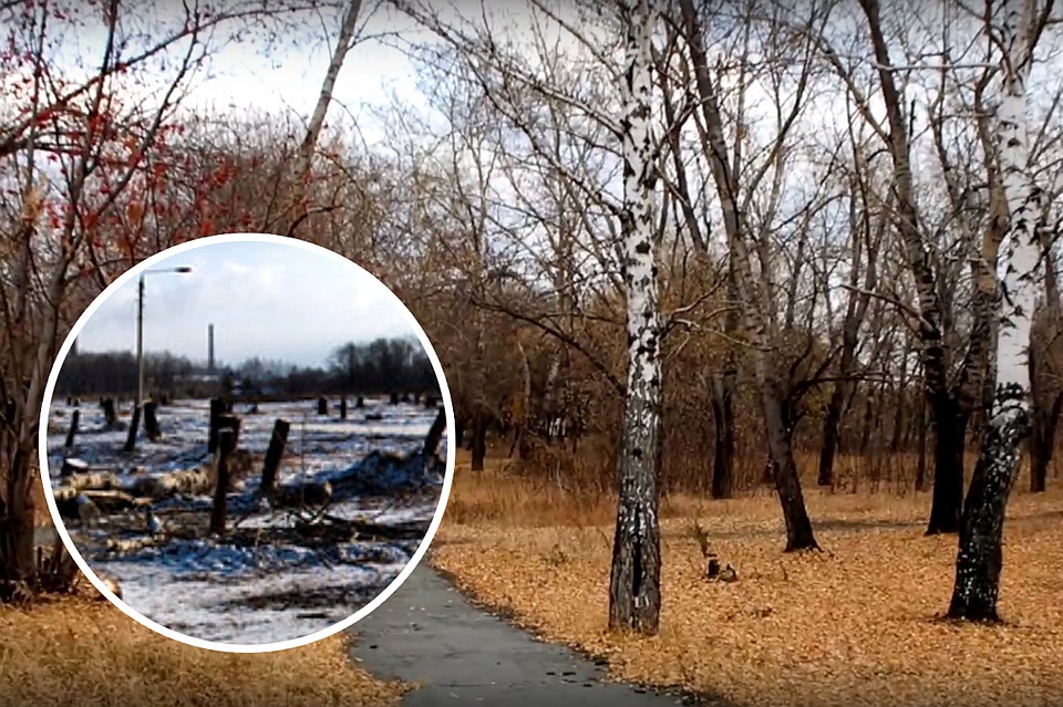Когда-то на Копейском шоссе была роща. Фото: кадр с видео
