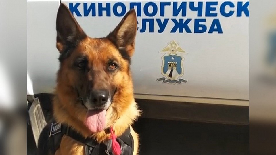 Фото: пресс-служба МВД России по Ставропольскому краю
